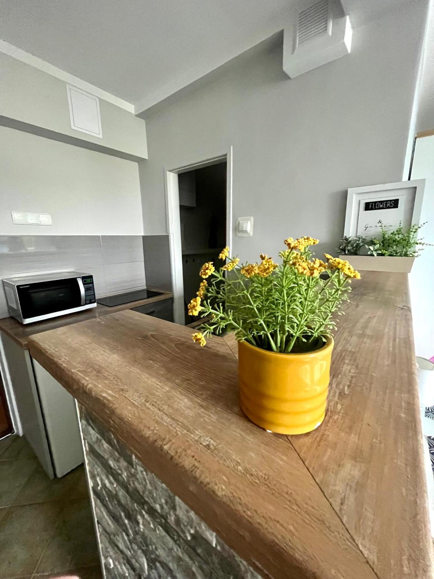 Apartament Sloneczny 斯维诺乌伊希切 外观 照片